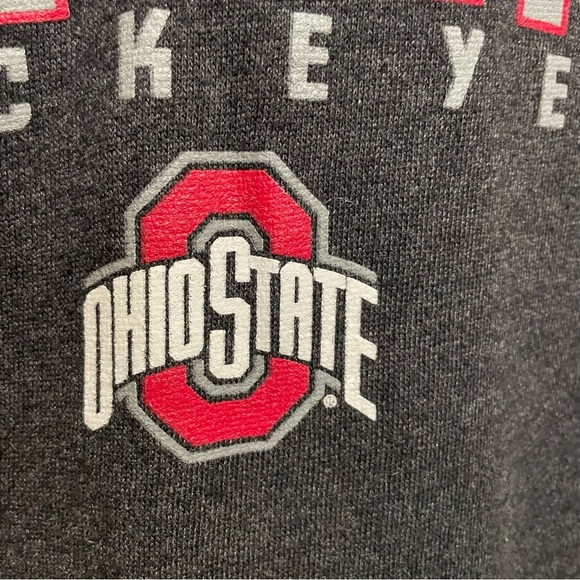 Ohio State Buckeyes Grey Hooded Sweatshirt Size Large - Picture 3 of 7